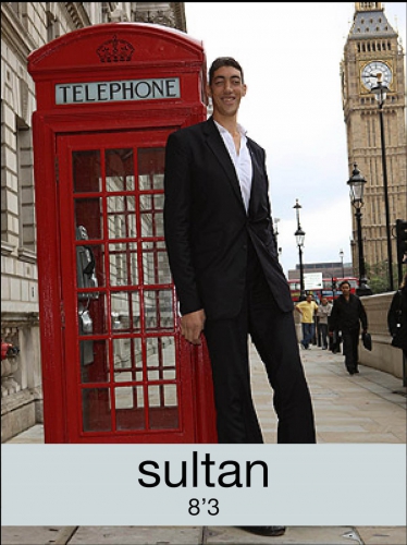 sultan_2016