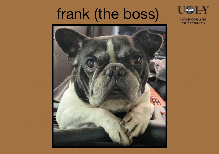 frank_2023