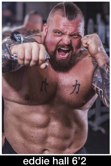 eddiehall